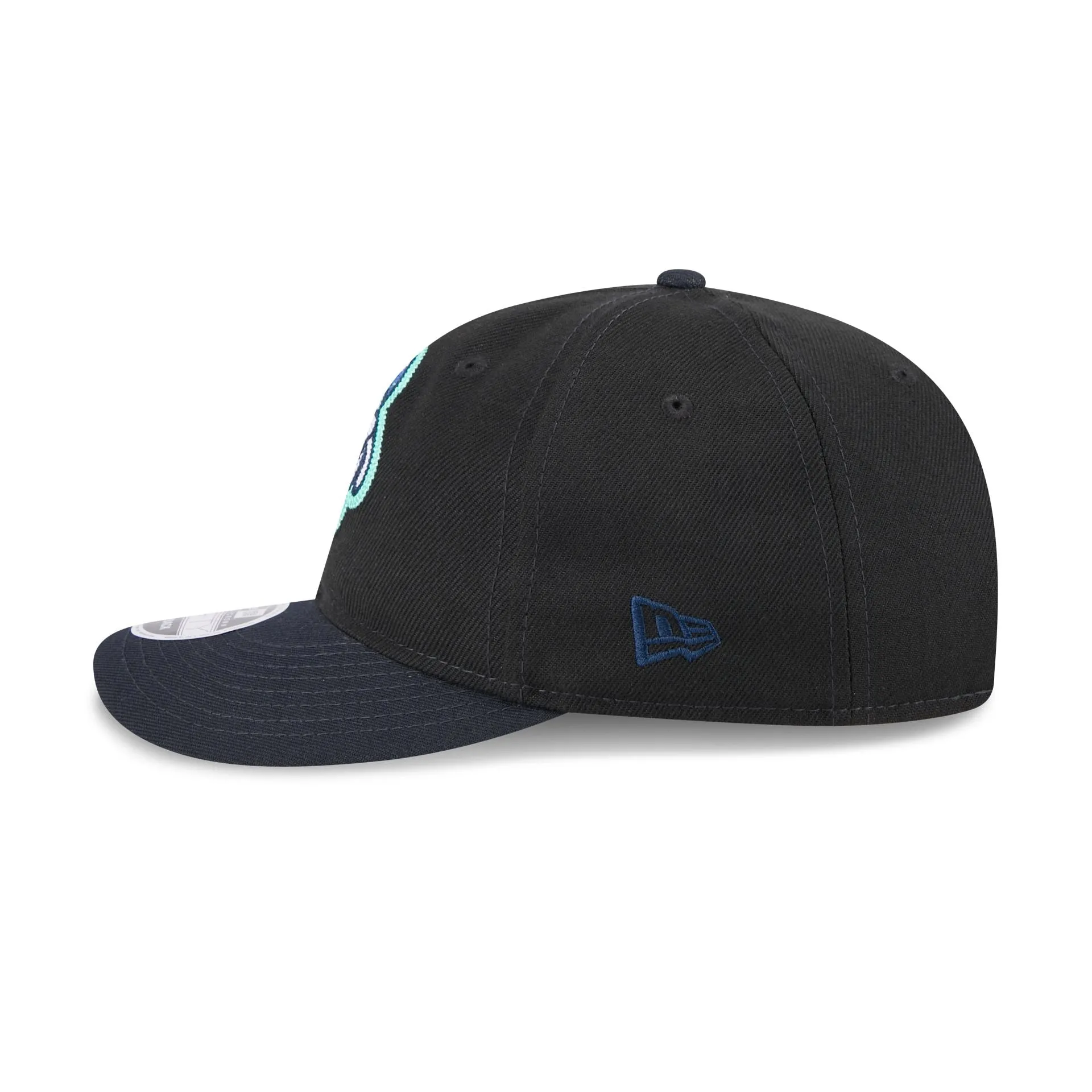 Asheville Tourists Thunder Crown Retro Crown 9FIFTY Snapback Hat