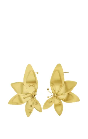 Caeli Earrings Gold