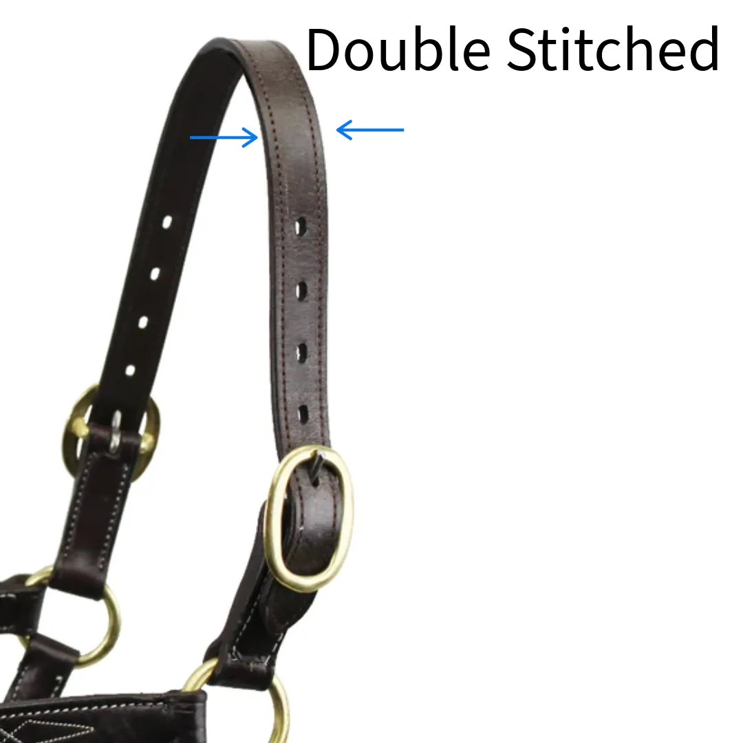 Derby Originals Double Stitched Leather Breakaway Halter Replacement Crown Available in 2 Lengths