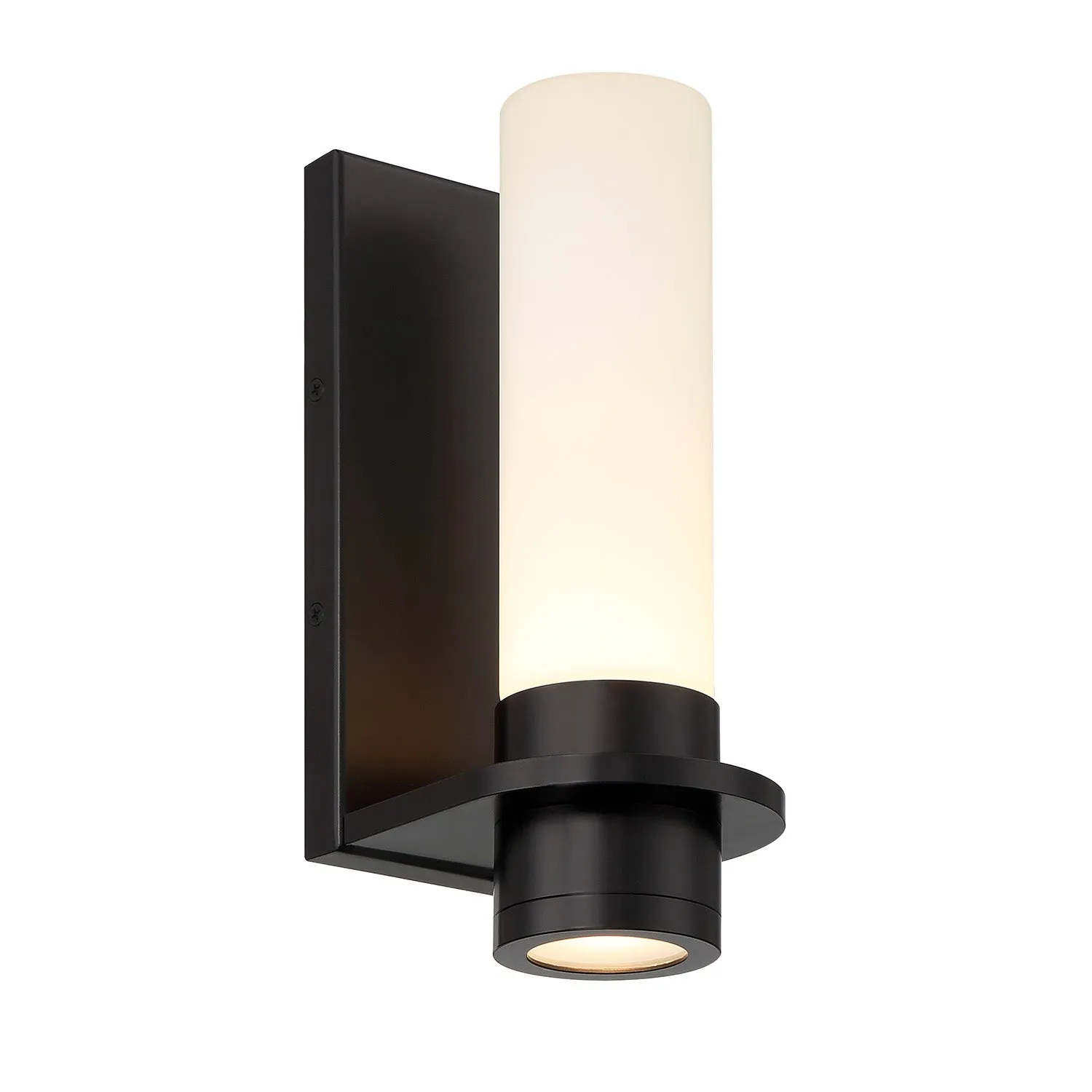 Luna LED Outdoor Wall Sconce